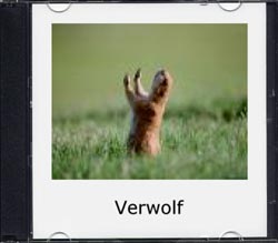 Verwolf